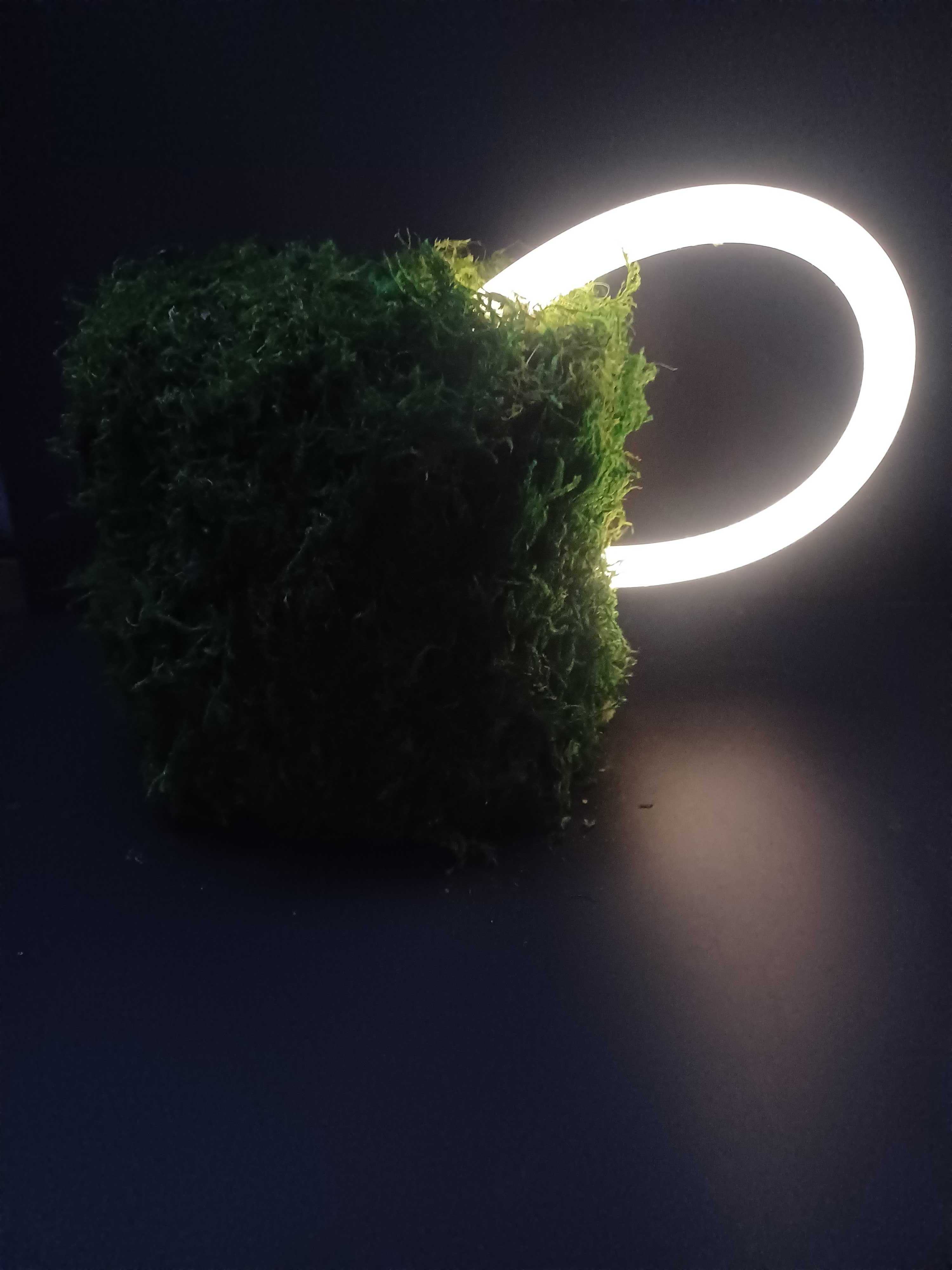 Arrangement &ldquo;Landscape&rdquo;