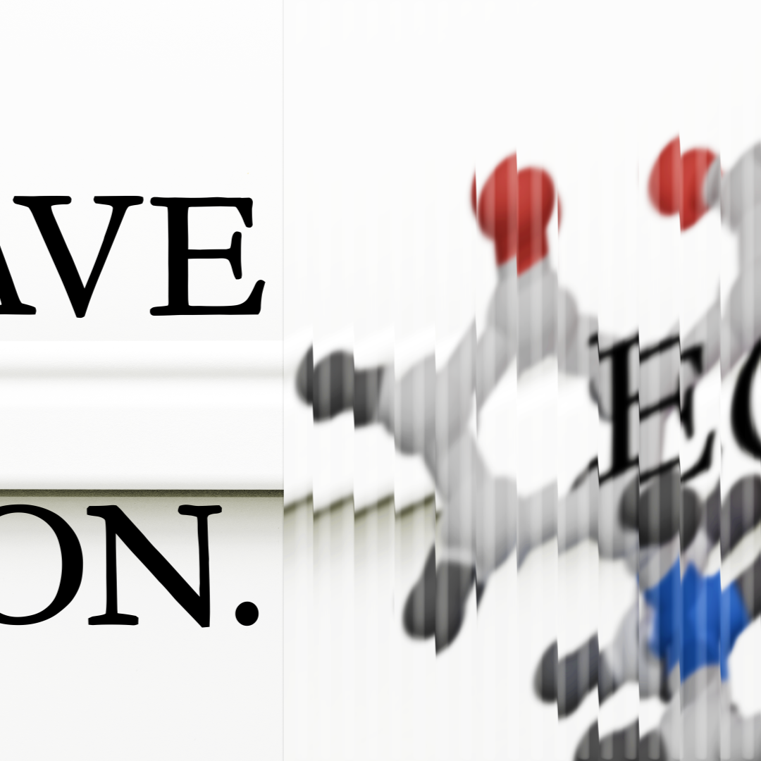 Wave Equation